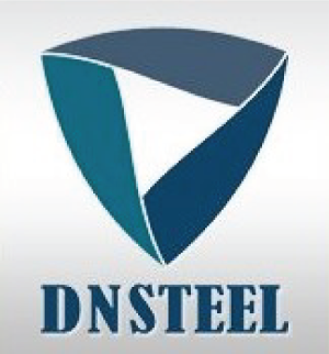 Dnsteel